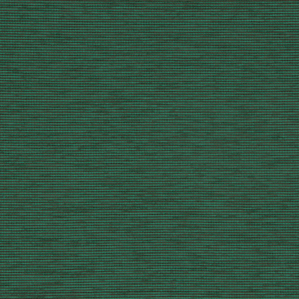 SOUTH COAST | EMERALD