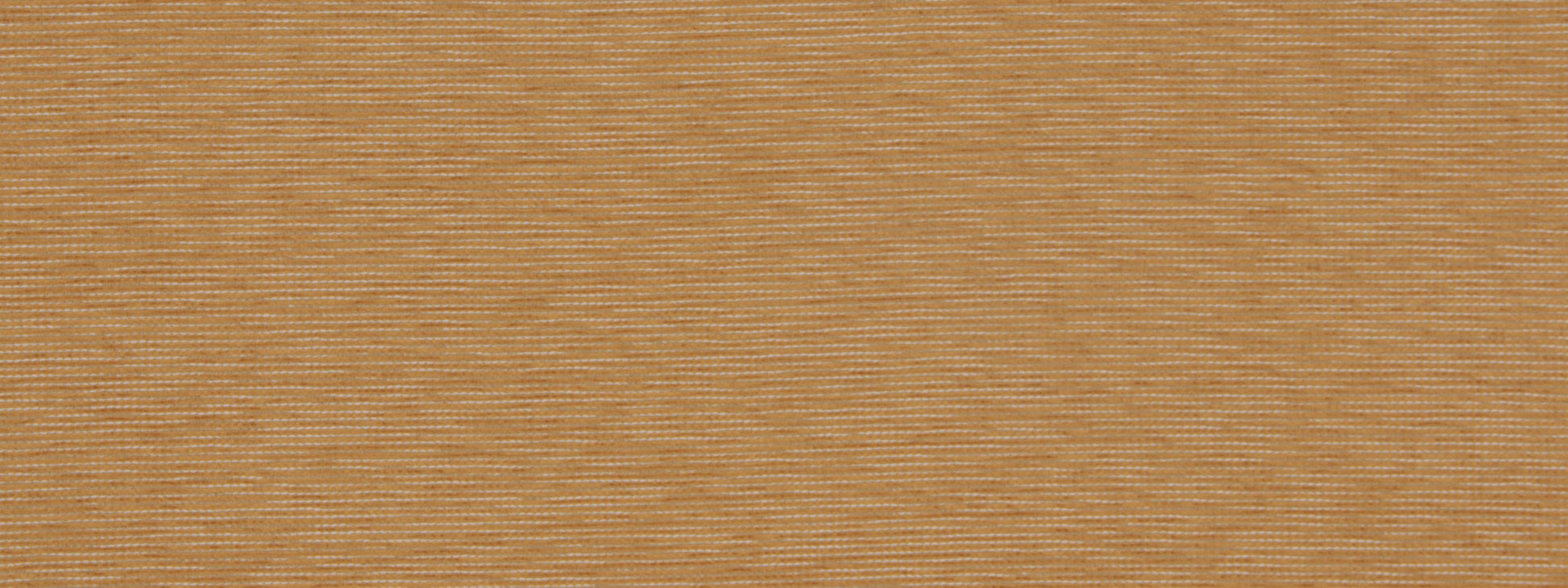 SOUTH COAST | MARIGOLD