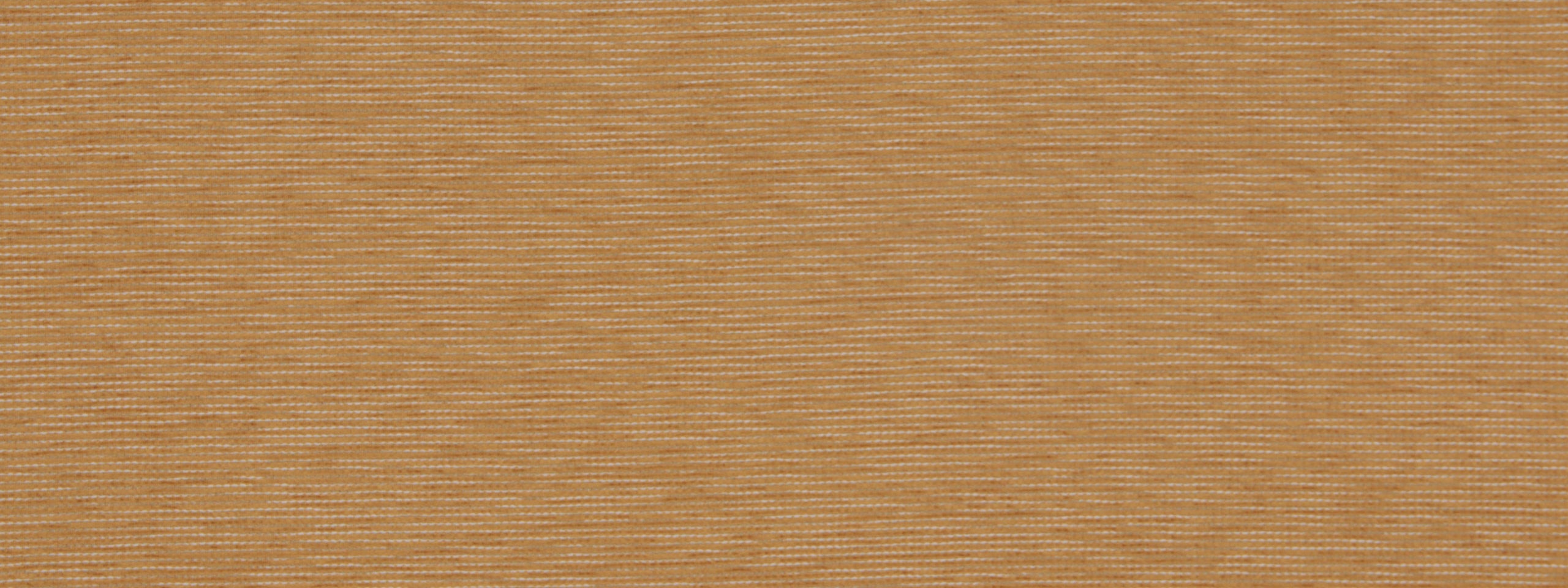 SOUTH COAST | MARIGOLD