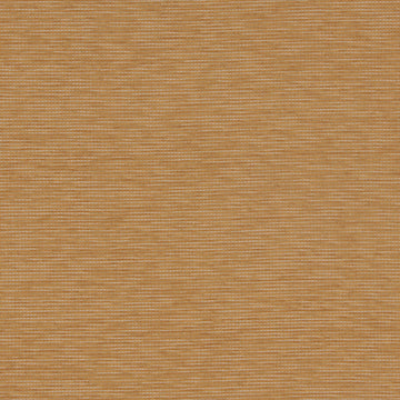 SOUTH COAST | MARIGOLD