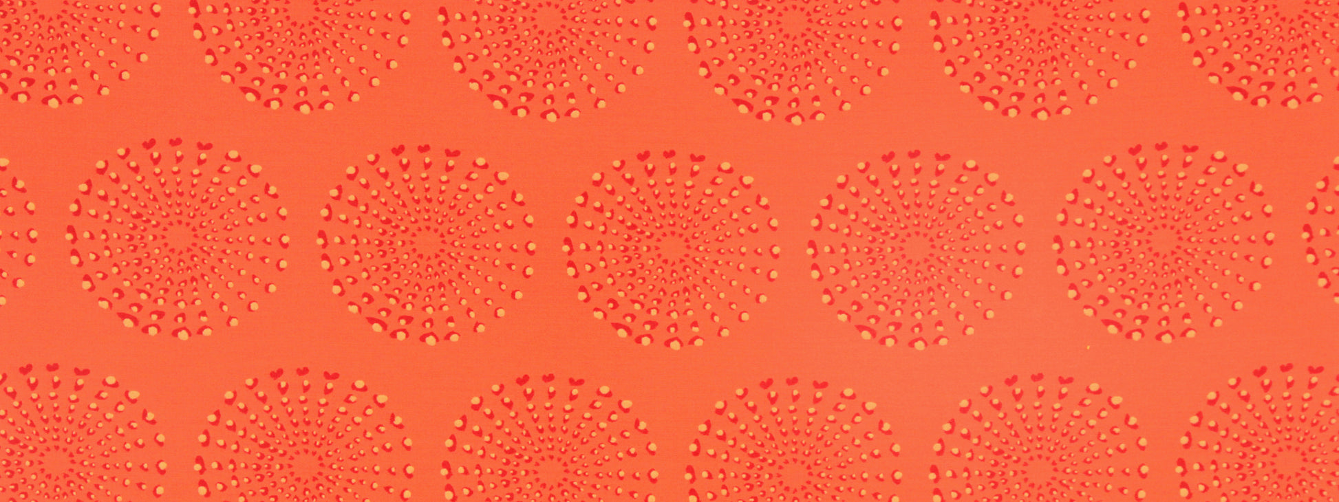 DOTTED ECLIPSE | CHILI CORAL
