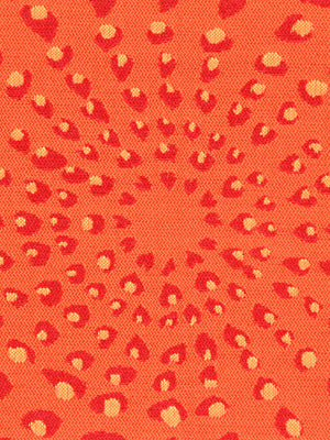 DOTTED ECLIPSE | CHILI CORAL