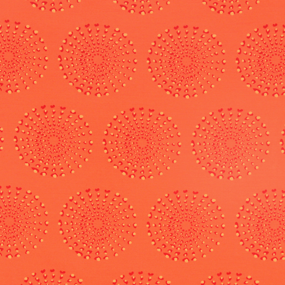 DOTTED ECLIPSE | CHILI CORAL