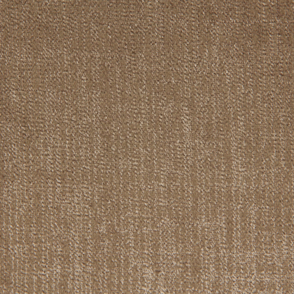 LUMIERE | BIRCH