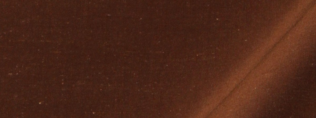 Mysore Silk | Leather Brown - Drapery - Fabric