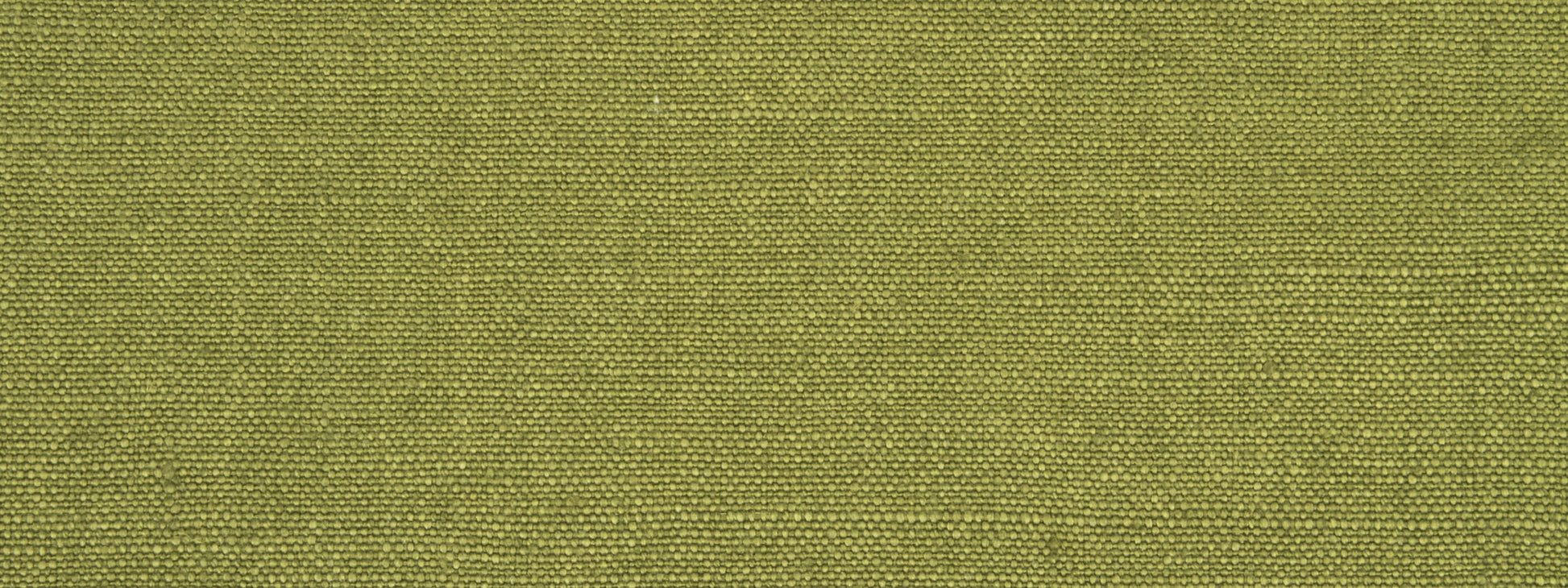 LINSEED SOLID | ARUGULA