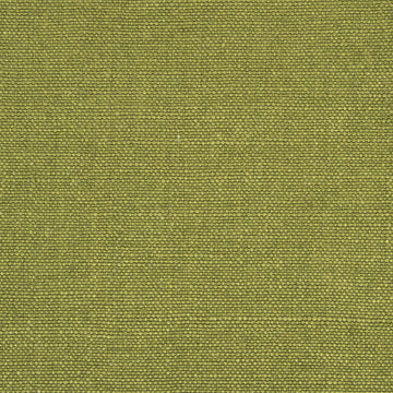 LINSEED SOLID | ARUGULA