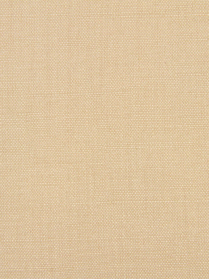 LINSEED SOLID | BISQUE
