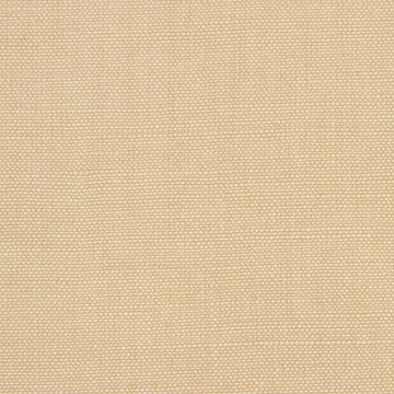 LINSEED SOLID | BISQUE