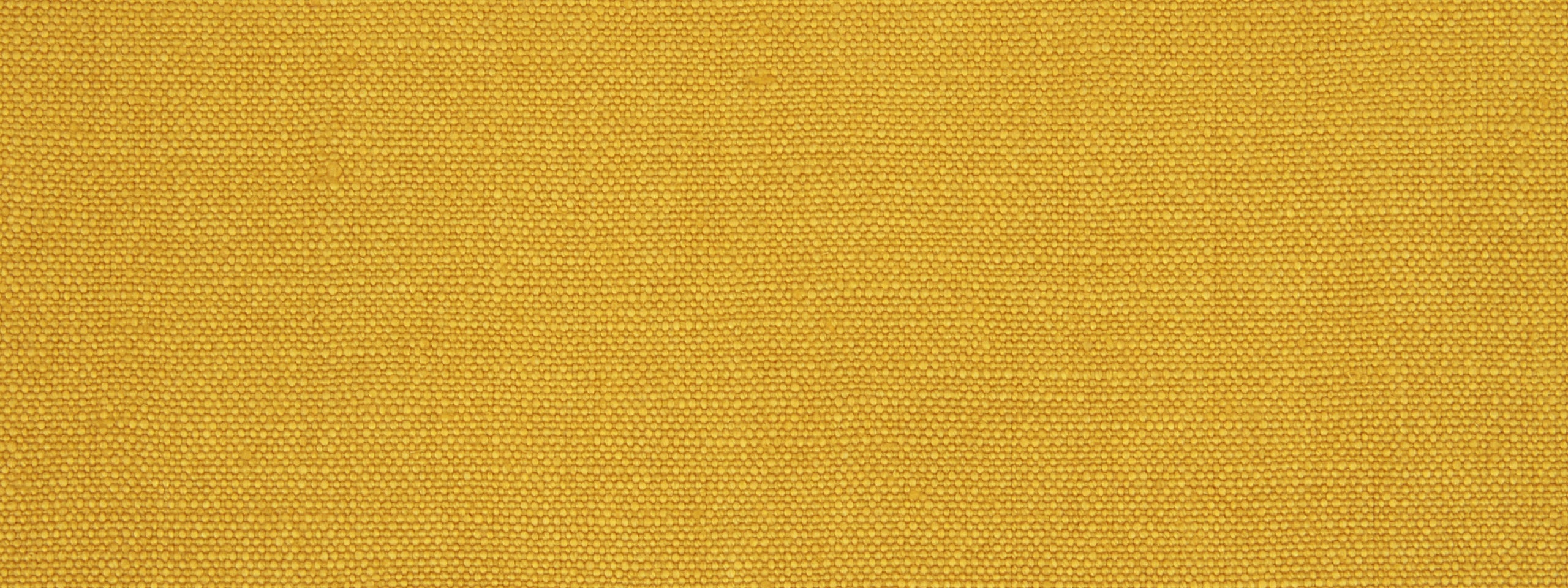 LINSEED SOLID | CHARTREUSE