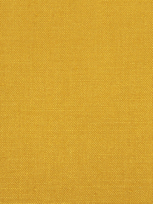 LINSEED SOLID | CHARTREUSE