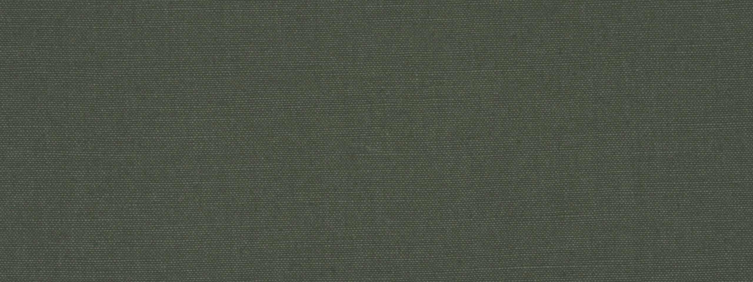 LINSEED SOLID | EVERGREEN