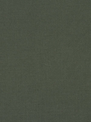 LINSEED SOLID | EVERGREEN