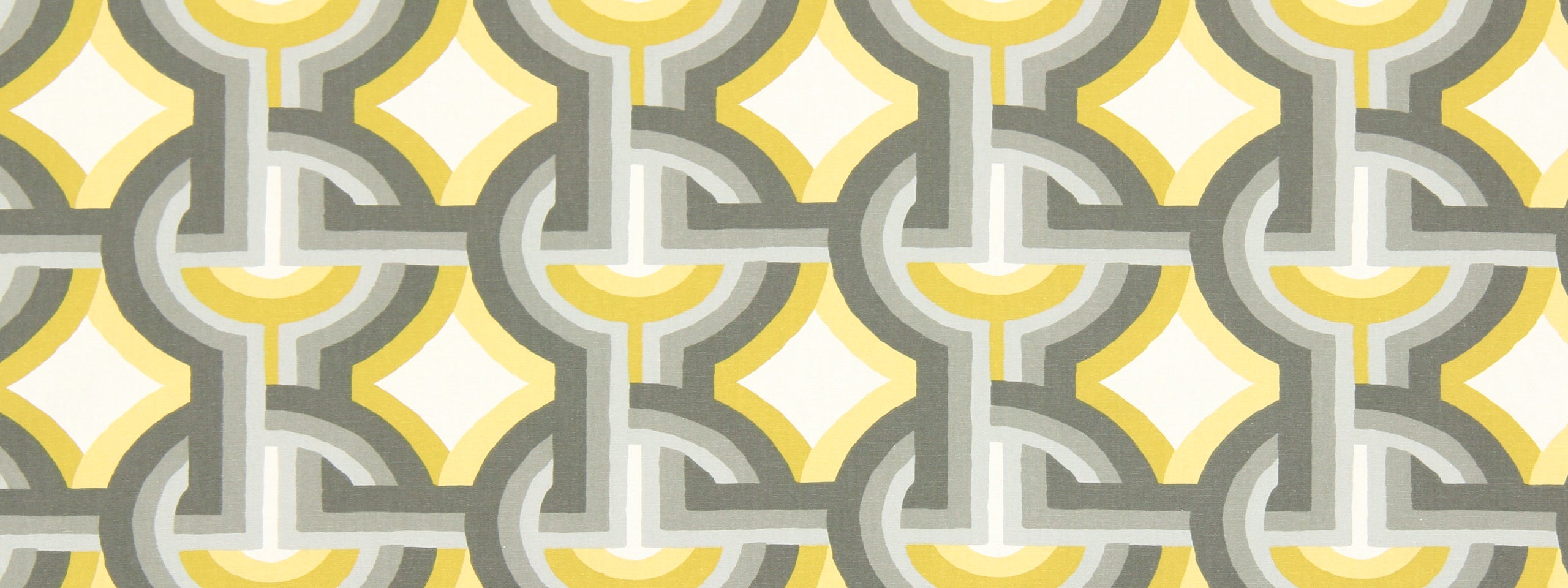 FUTURA | DANDELION