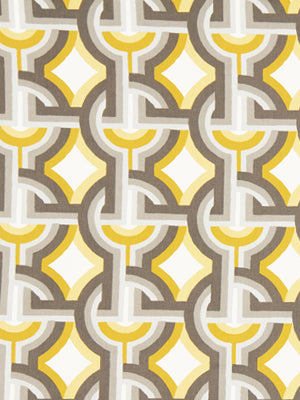 FUTURA | DANDELION