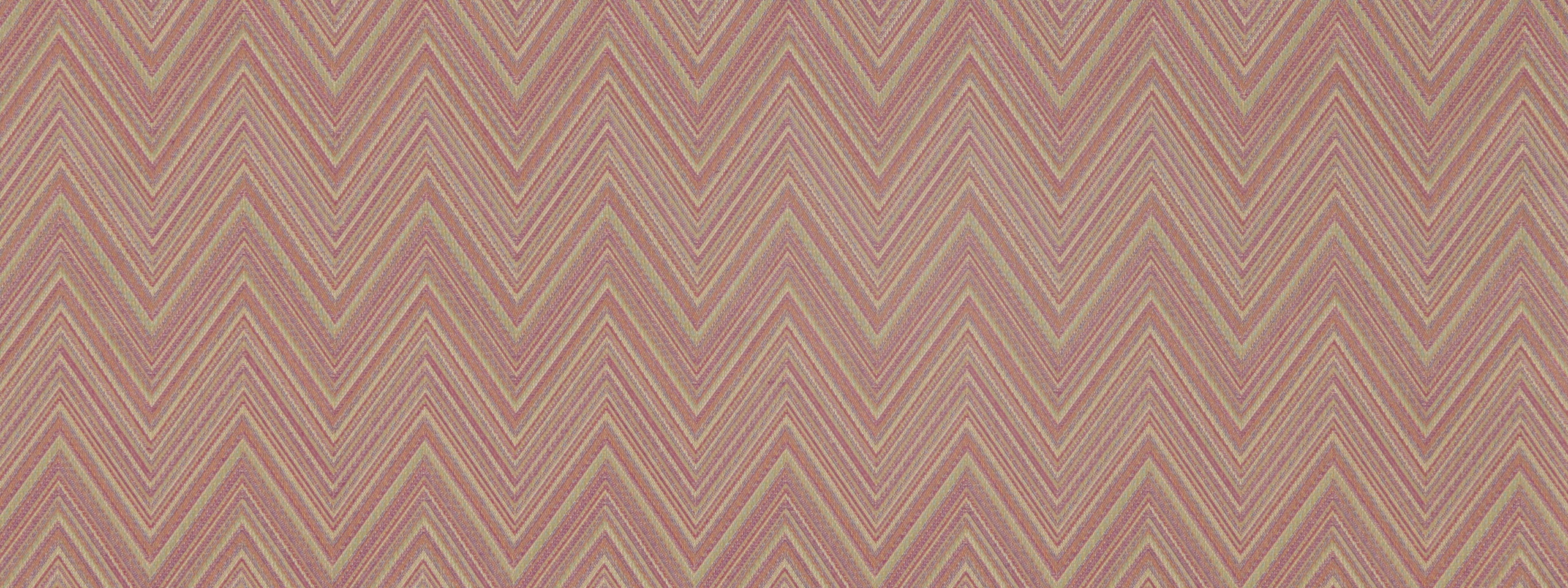 TIP TOP | RHUBARB