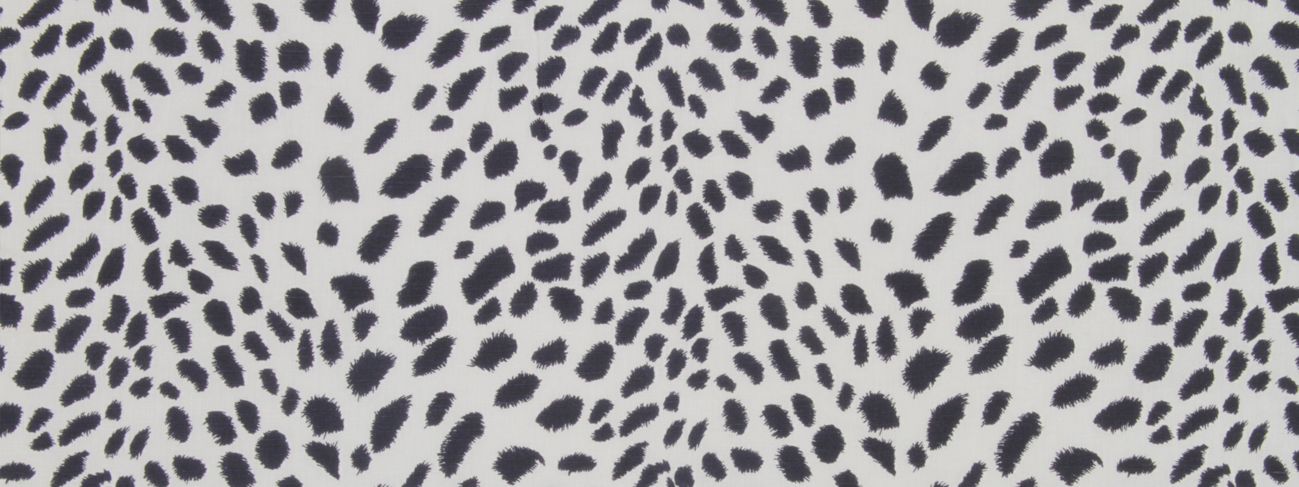 Leopard Path | Navy Blazer