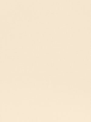 Cotton Twill | Oatmeal - Upholstery - Fabric
