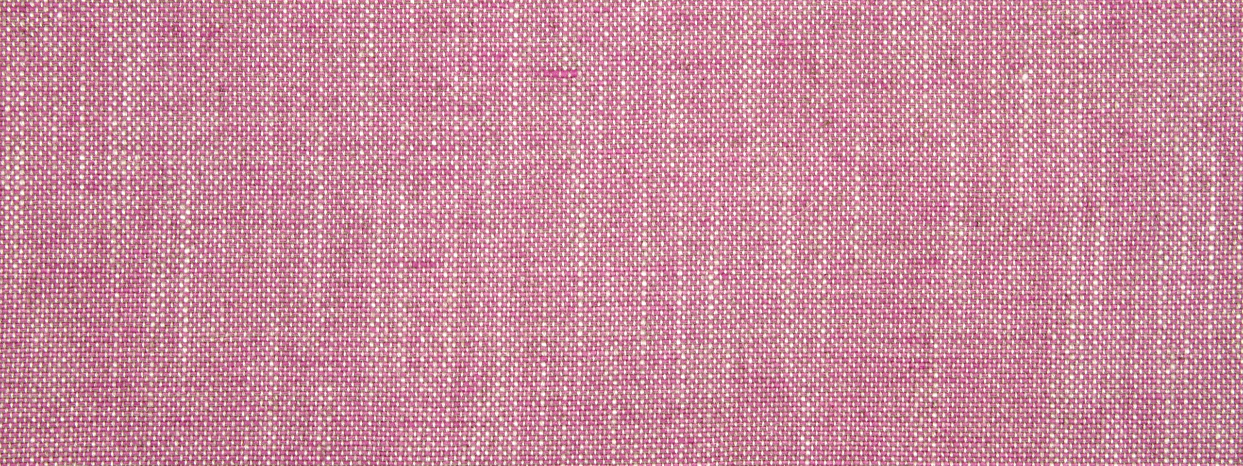 Linen Canvas | Tulip