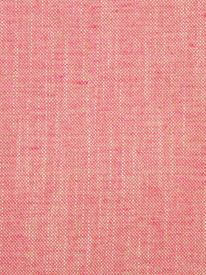 Linen Canvas | Tulip