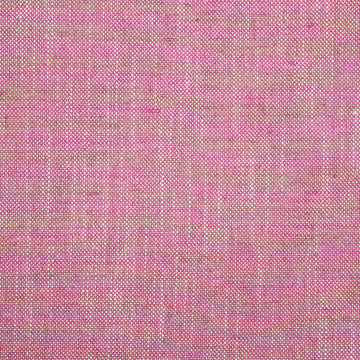 Linen Canvas | Tulip