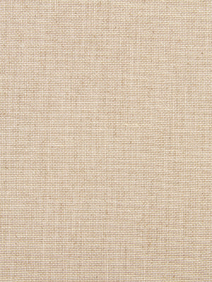 Linen Canvas | Pale Cream