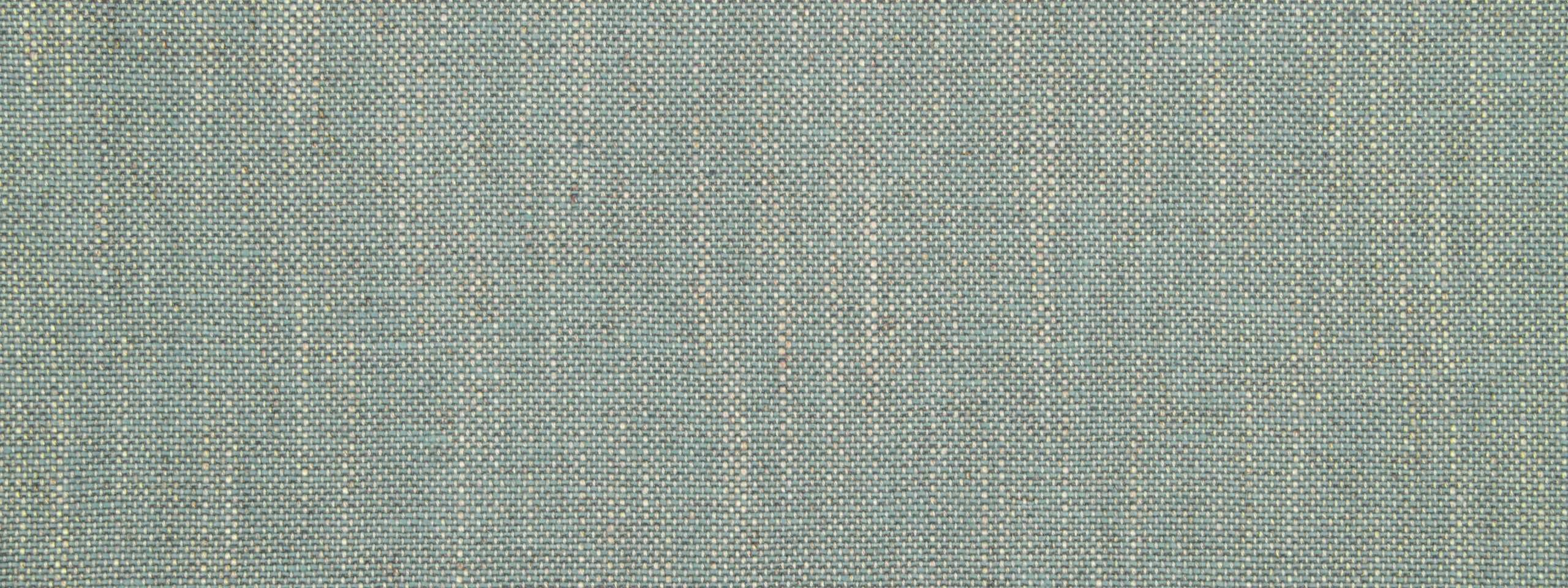 Linen Canvas | Parrot