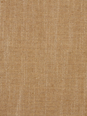 Linen Canvas | Grain