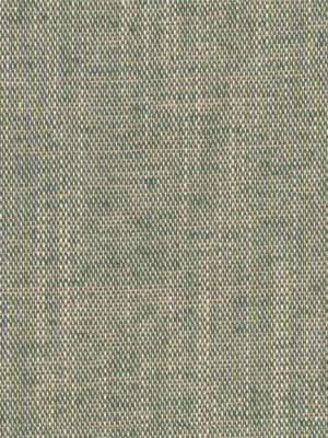 Linen Canvas | Billiard Green
