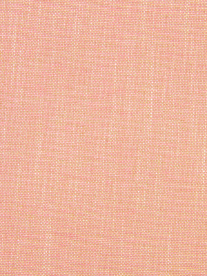 Linen Canvas | Blush