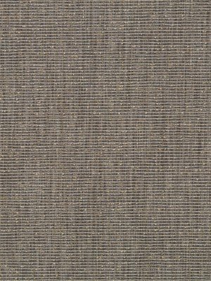 Empire City | Chalkboard - Upholstery - Fabric