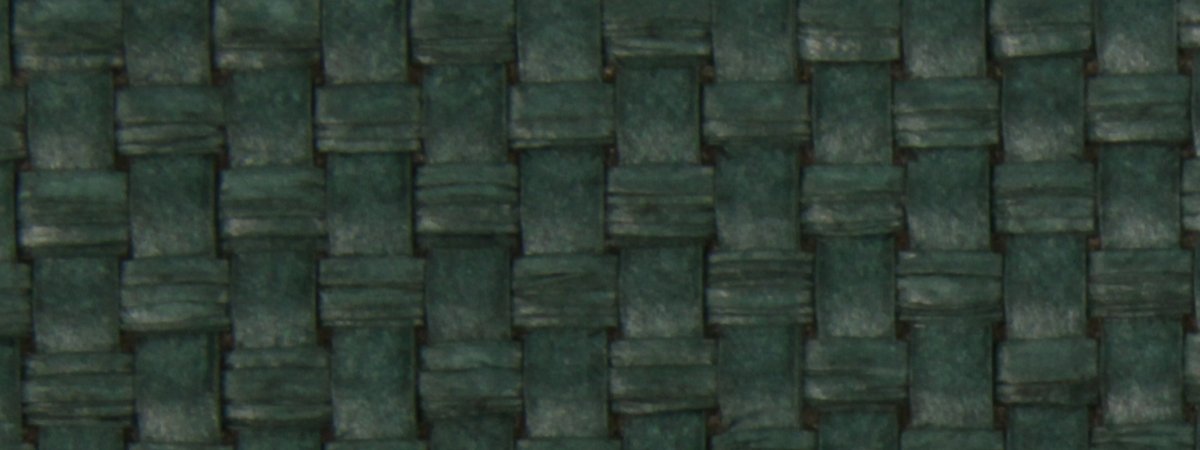 Raffia Path | Billiard Green - Upholstery - Fabric