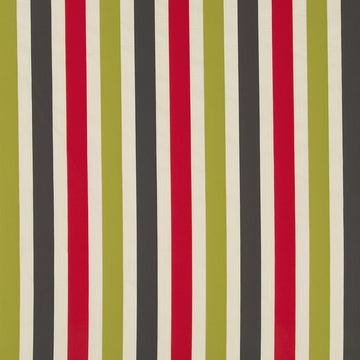 VIVID STRIPE | CHALKBOARD