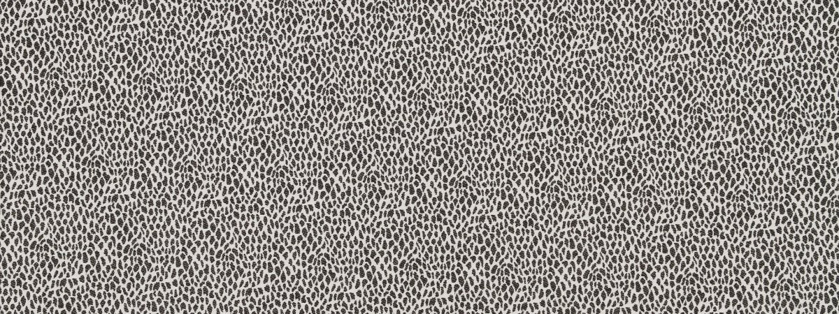 CHEETAH SKIN | CHALKBOARD - Upholstery - Fabric