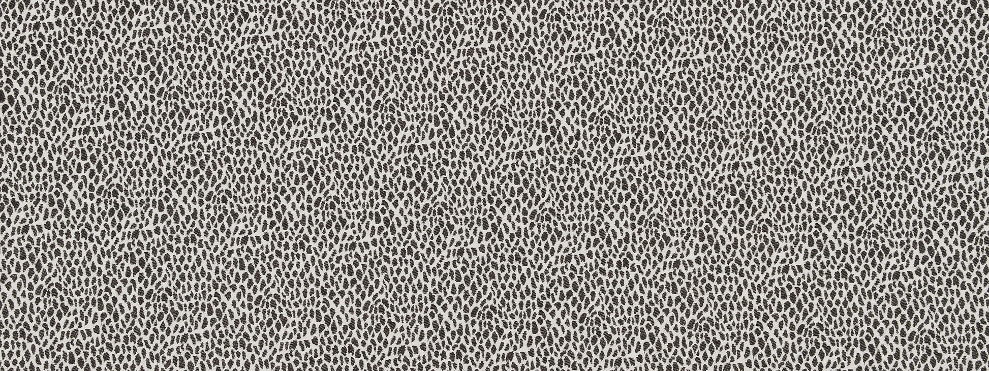 CHEETAH SKIN | CHALKBOARD