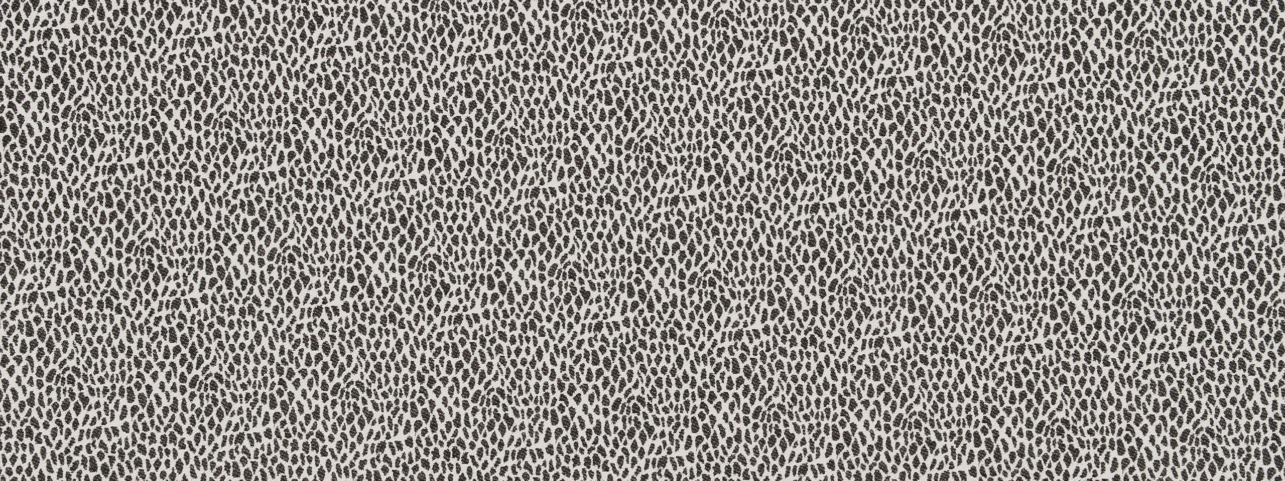 CHEETAH SKIN | CHALKBOARD