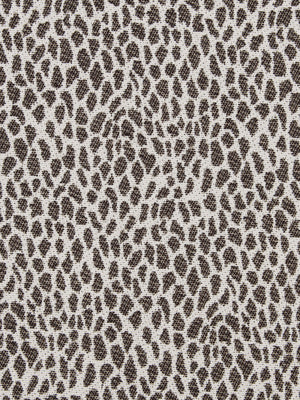 CHEETAH SKIN | CHALKBOARD