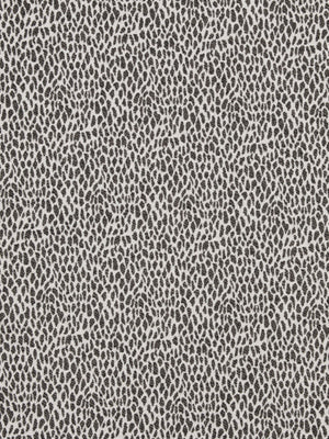 CHEETAH SKIN | CHALKBOARD