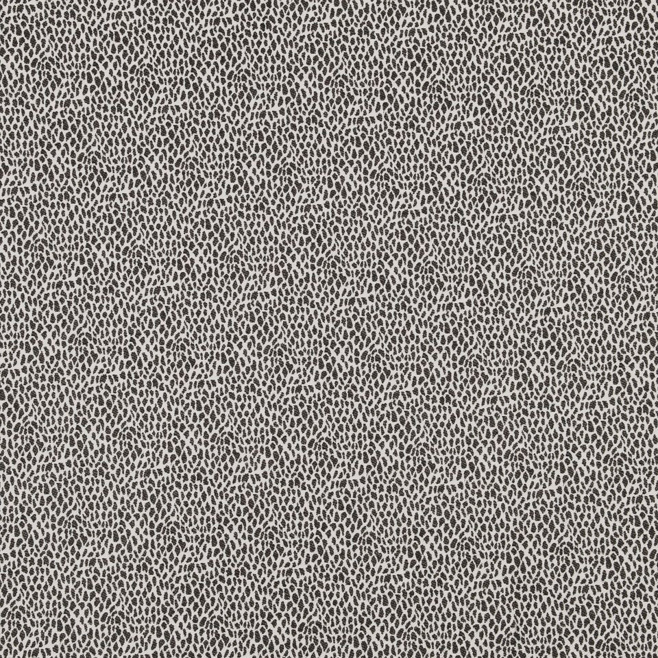 CHEETAH SKIN | CHALKBOARD