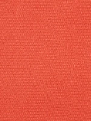 Open Prairie | Saffron - Upholstery - Fabric