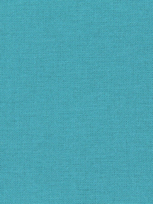 CANVAS DUCK | TURQUOISE