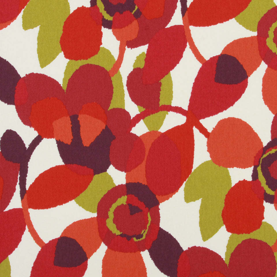 ABSTRACT FLORA | POPPY