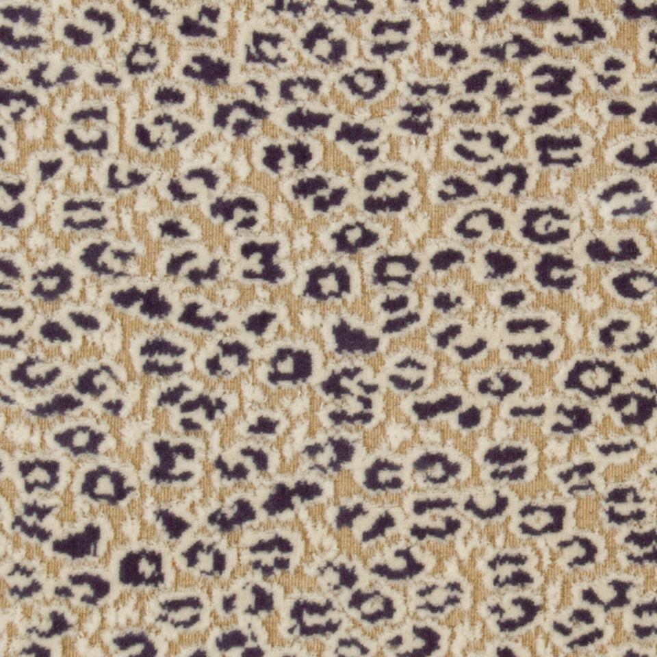 SOFT CHEETAH | IRIS