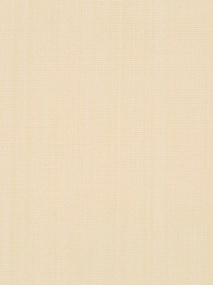 RIBBED SOLID | GOLD LEAF