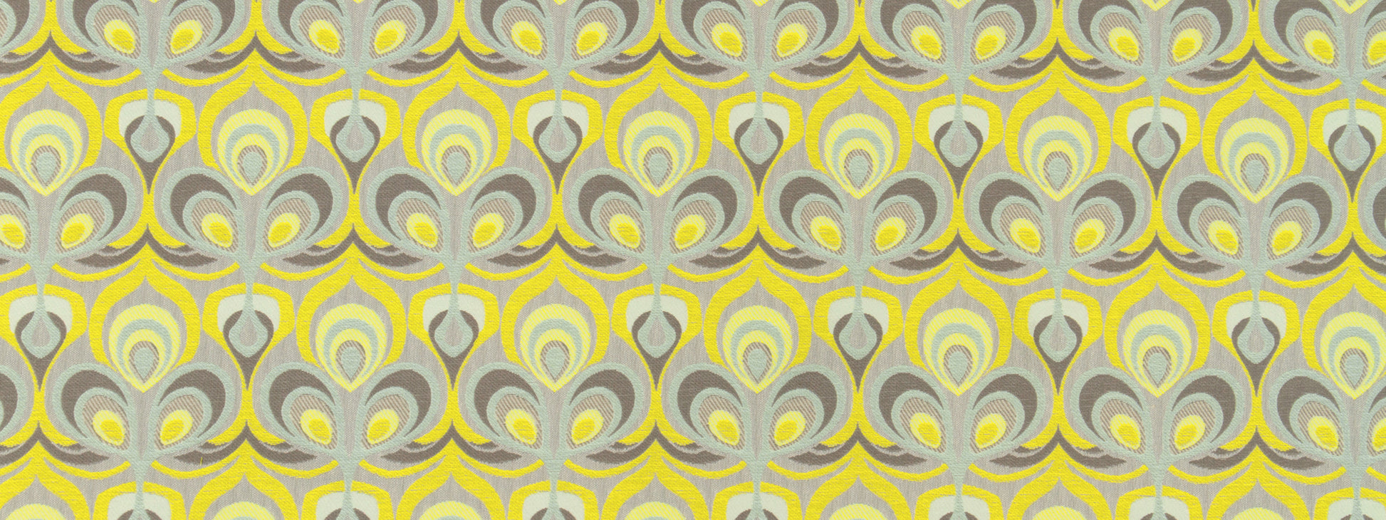 COBRA LILY | ZINC