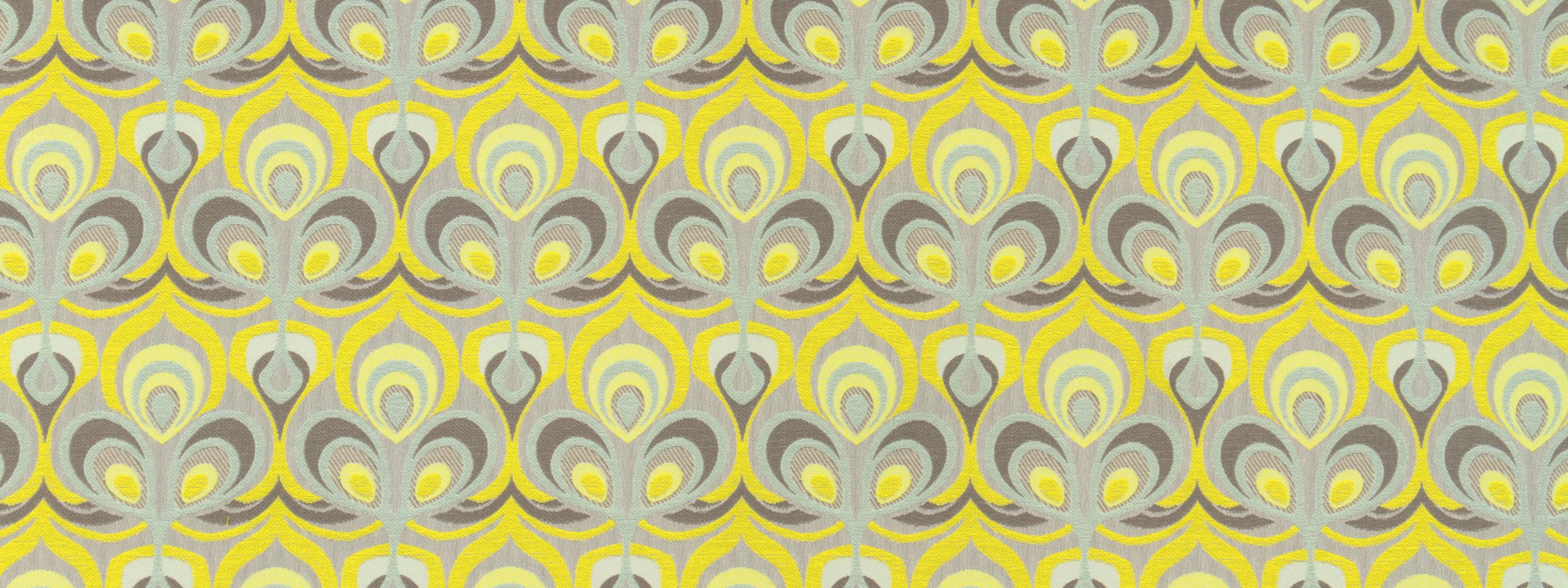 COBRA LILY | ZINC
