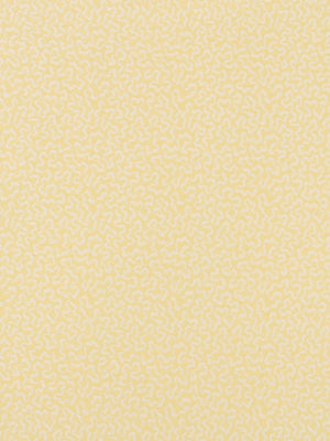 SPACED OUT | GOLD LEAF
