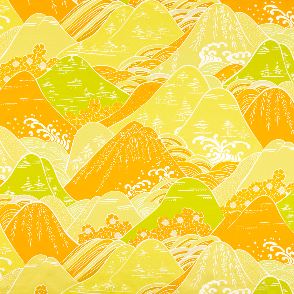 Fuji | Mango