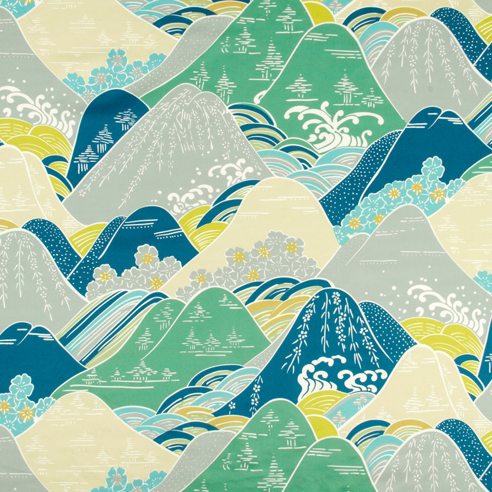 Fuji | Pacific