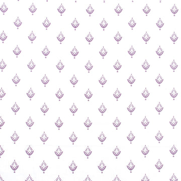 PONDEROSA PINE | WISTERIA